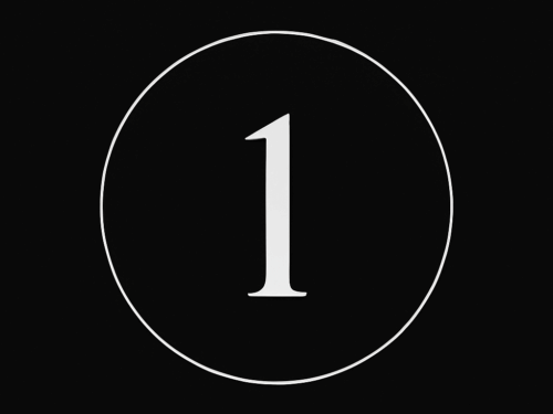 Supplements 101: The Foundations